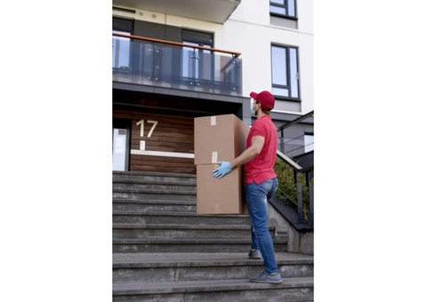 Hunks of Junk | Green waste removal Melbourne - 4/5