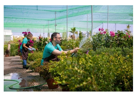 Keep Your Lawn Perfect with NG Lawn Mowing Sydney