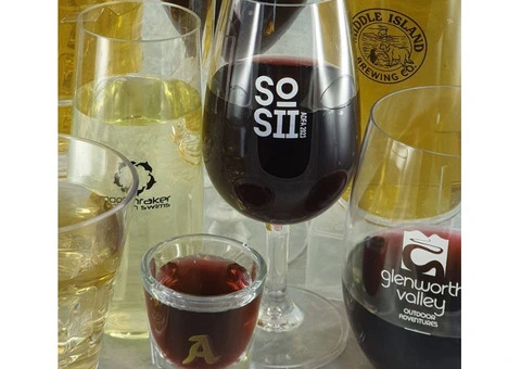 Plastic Beer Glasses in Bulk for You | Personalised Glasses