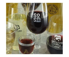 Plastic Beer Glasses in Bulk for You | Personalised Glasses