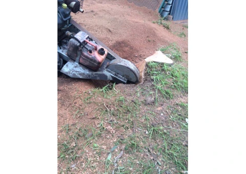 Stump Removal Sydney | Ben's Tree and Garden Services