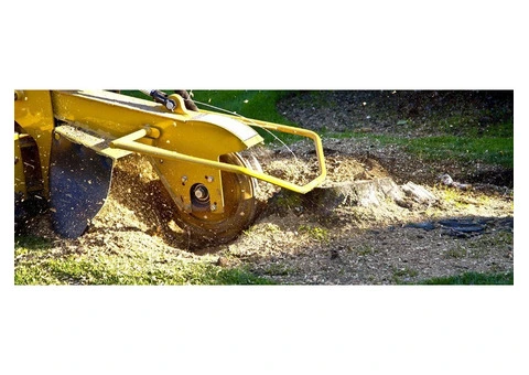 Stump Removal Sydney | Ben's Tree and Garden Services - 2/2