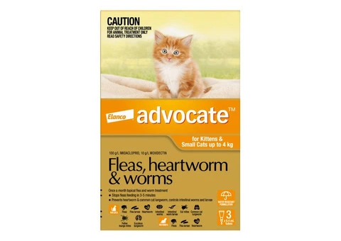 Buy Advocate For Kittens & Small Cats Up To 4kg (Orange) - Free Shipping