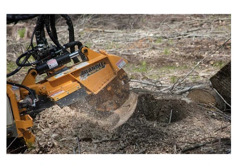 Stump Grinding Careel Bay | Northern Beaches Garden & Trees