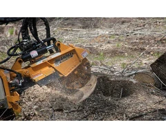 Stump Grinding Careel Bay | Northern Beaches Garden & Trees