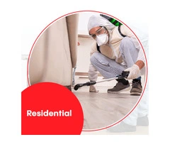 Residential Pest Control Sydney