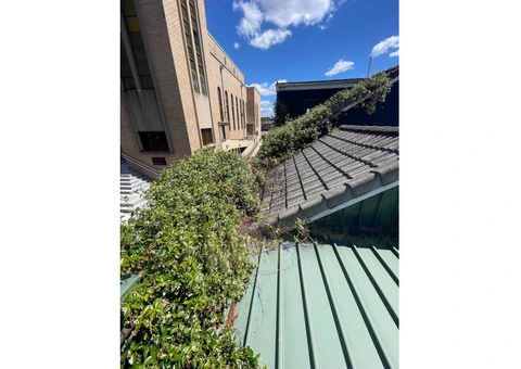 Sydney's Gutter Cleaning - 3/8