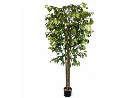 Brighten Up Your Decor with Fake Plants Installation