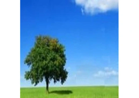 Relationship Counselling Sydney CBD Central Location Support