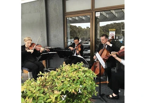 Premium String Quartet Sydney Experience String Musicians Australia
