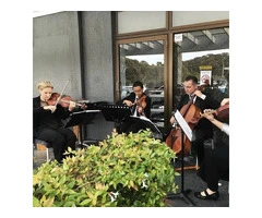 Premium String Quartet Sydney Experience String Musicians Australia