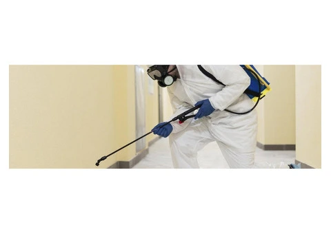 Keep Infestations at Bay With a Reliable Commercial Pest Control Company