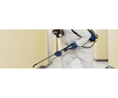 Keep Infestations at Bay With a Reliable Commercial Pest Control Company