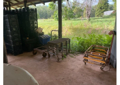 GINGER Washing/processing unit - 5/8