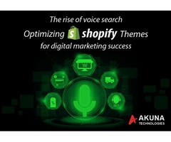 Get the digital marketing success by optimizing shopify themes