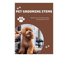 Accessorise Your Pet in Style – Mega Marketplace