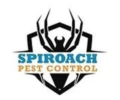 Pest Control Brisbane – Spiroach Pest Control