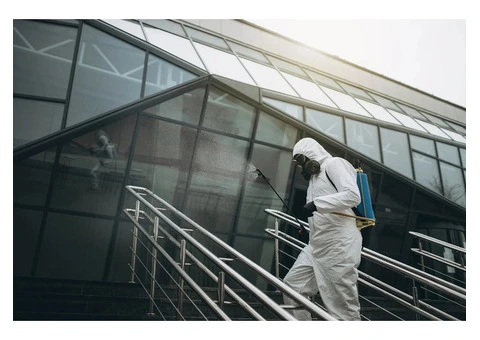 Expert Bed Bugs Control in Melbourne – RF Pest Management