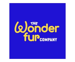 High-Quality Cat Supplements for Healthy & Happy Felines