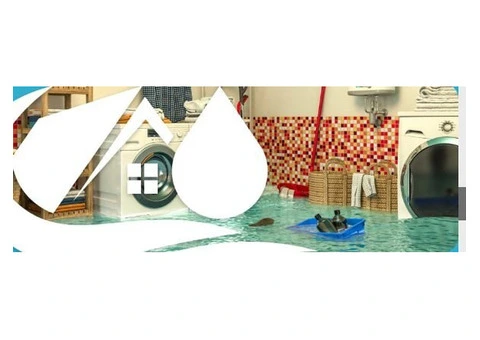 Flood Restoration