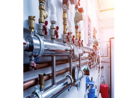 Plumber Wattle Grove