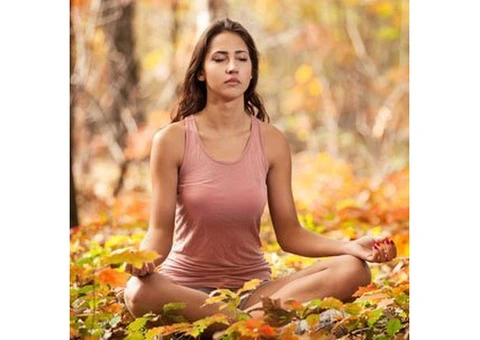 Purnashunya Yoga – Holistic Online Yoga Classes for Mind, Body & Spirit - 1/3