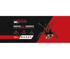 Pest Control Perth