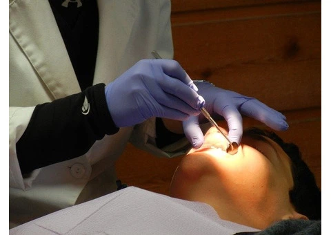 Your Friendly Neighbourhood Dentist in Collingwood