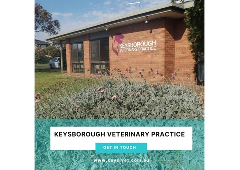 Trusted Veterinary Surgeons Near Keysborough