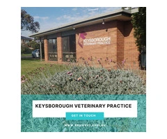 Trusted Veterinary Surgeons Near Keysborough