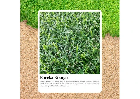 Transform Your Backyard with Kikuyu Turf This Weekend