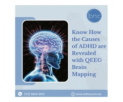 Get QEEG Test for ADHD brain