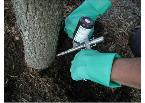 Boost Your Trees Health with Soil Injection – Tree Essence Gold Coast