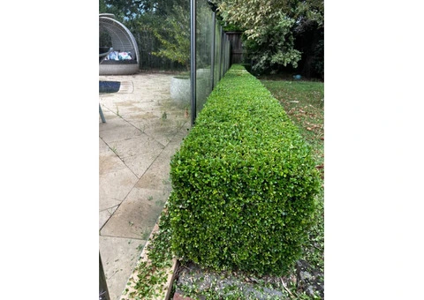 Guos Lawn Mowing & Garden Maintenance (All Sydney) - 2/5