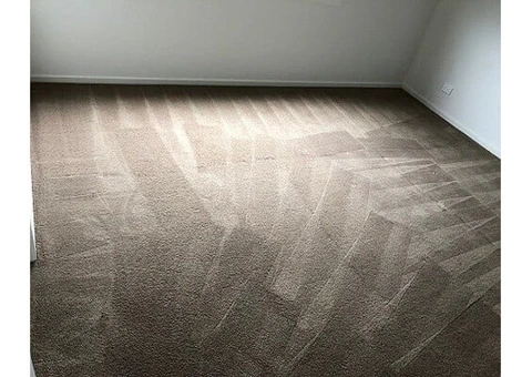 Cheap Carpet Steam Cleaners to Refresh Your Living Space
