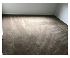 Cheap Carpet Steam Cleaners to Refresh Your Living Space