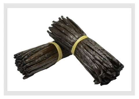 Madagascan vanilla beans