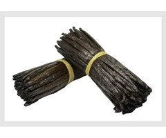 Madagascan vanilla beans