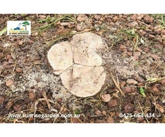 Local Tree Removal Adelaide S.A.