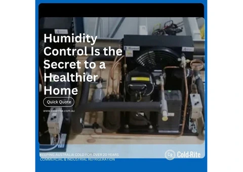 Humidity Control Tips That Will Transform Your Indoor Air