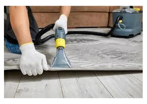 Professional Carpet Cleaning in Murrumbeena