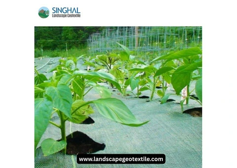 Easy-to-Install Weed Mat for Clean and Tidy Outdoor Spaces