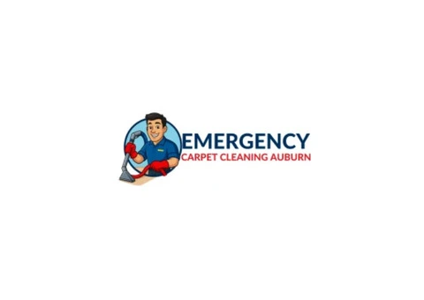 Carpet Cleaning Auburn