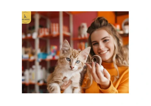 Most Affordable Cattery in Brunswick