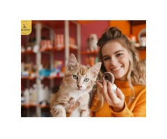 Most Affordable Cattery in Brunswick