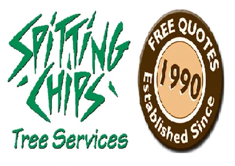 Stump Grinding in Canberra