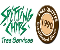 Stump Grinding in Canberra