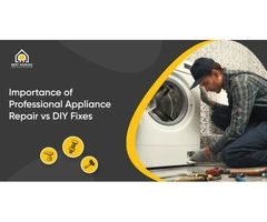 Professional vs DIY Appliance Repair in Sydney – What’s the Right Choice?