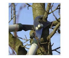 Tree services Angle-vale Ade