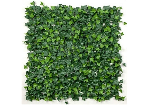 Install Stunning Green Wall Panels for a Photogenic Background